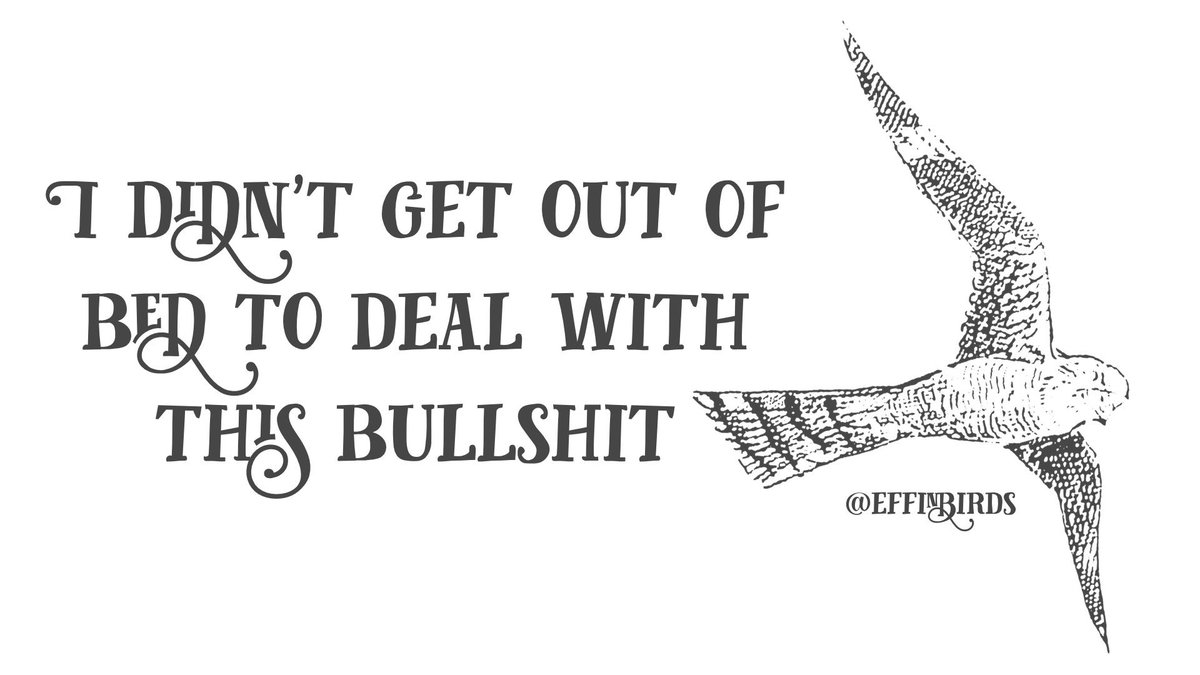 Courtesy @effinbirds